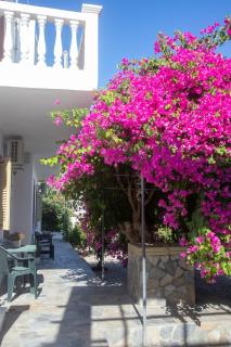 FLOWERS STUDIOS - Skala - 8