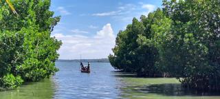 A K Munroe Homestay - Munroe Island - 2