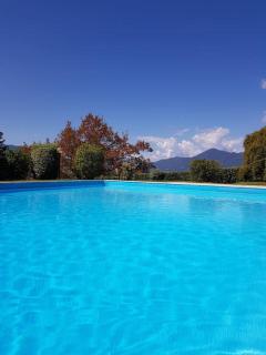 Appartamento in residence con piscina - Luino - 9