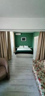 Come and sleep Studio Old City - Bucarest - 0