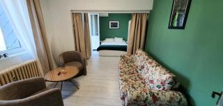 Come and sleep Studio Old City - Bucarest - 9