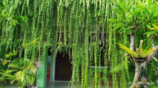 PURNAMA HOUSE KUTA - Kuta - 9
