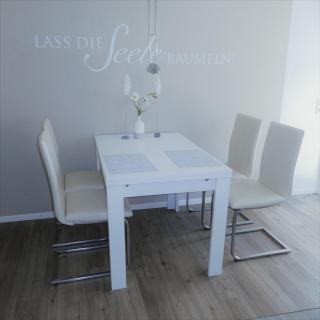 Dünenrose Dünenrose 23 - 8