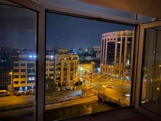 Belvedere Residence Splaiul Unirii Nice View - Bucarest - 5