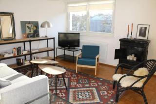 Superb Apt- Garden- 3 parkings, near Petite Venise ! - Colmar - 9