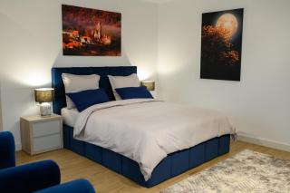 Hotel Vila Discret - Satu Mare - 7