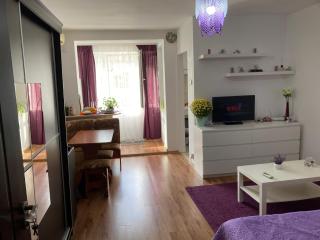 Royal Studio National Arena - Free Parking - Bucarest - 5