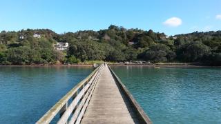 Cornwallis Palms - Auckland - 0