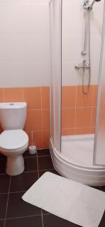Apartmány Šrámek Stříbro - Stříbro - 3