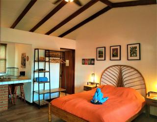 Orosi Lodge - Orosí - 8