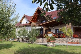 NUT HOUSE Retezat - Nucşoara - 5