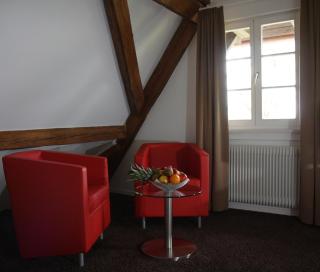 Hotel Hofgut Hohenkarpfen - 5