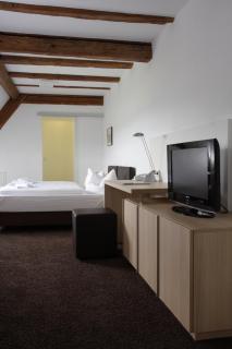 Hotel Hofgut Hohenkarpfen - 4