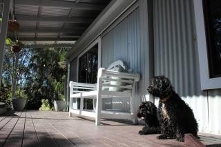 Tamborine Palms Farmhouse - 5
