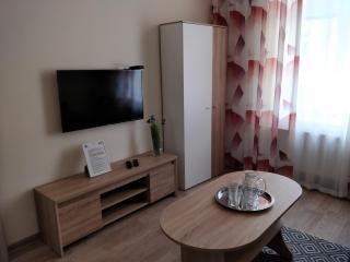 CENTRAL Marienbad Apartaments - Mariánské Lázně - 5