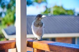 A kids dream & paradise for parents - 8