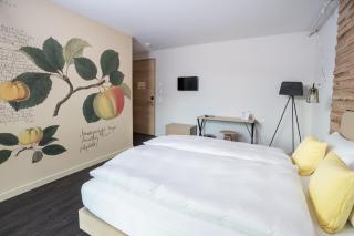 Hotel Greuterhof Islikon - Islikon - 9