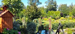 Noclegi Teodorówka - 6