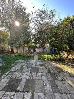 Guest house Amazon - Kutaisi - 1