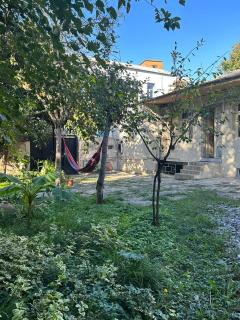 Guest house Amazon - Kutaisi - 8