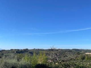 Il giardino del giuggiolo - Siena - 8