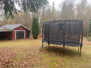 Södragården - traditionally Swedish - 9