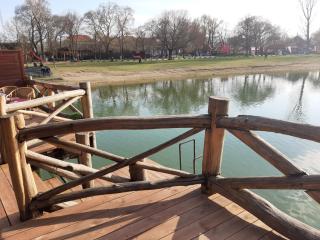 Senec vilka na jazere 2 - Senec - 4