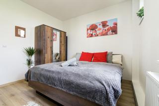 Luxury Apartments STUD - VB - Ostrava - 8