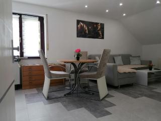 Apartment an der Schweizer Grenze - 8