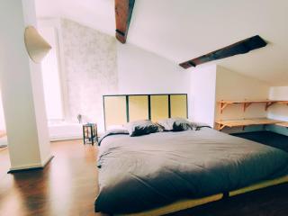 Superbe appartement duplex centre ville de Macon - Mâcon - 6