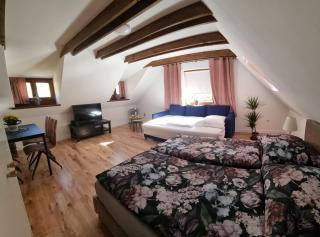UV Apartmány - Banská Štiavnica - 9