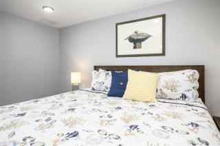 Yellow Warbler B - 6