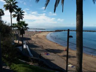 APARTAMENTO BUNGAMERICA n112 - Playa de las Americas - 5