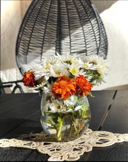 Villa Garden - Pristina - 2