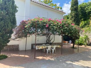 Villa Marie Claire - Ischia - 9
