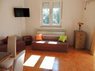 Apartments for Families Pakostane - 4