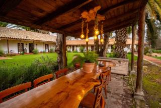 Hotel Boutique Raíces de Colchagua - Santa Cruz - 5