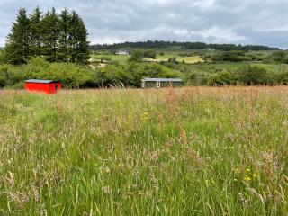 Stepping Stones Glamping little red - Bantry - 1