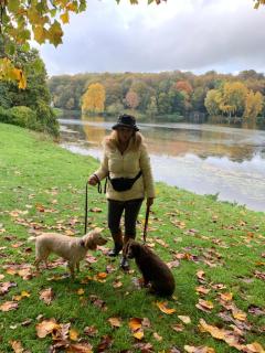 Lodbourne Farmhouse B&B - 9