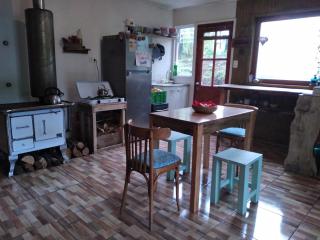 Casa Azul Conguillio cabaña - Melipeuco - 6
