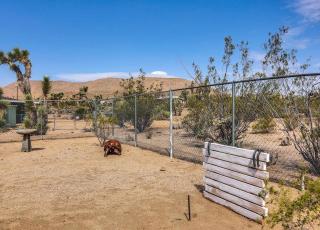 JT Cottage - Yucca Valley - 7