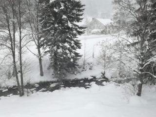 Chalet confortable, proche des pistes de ski, avec jardin, terrasses couvertes et Wi-Fi à La Bresse - FR-1-589-86 - 4
