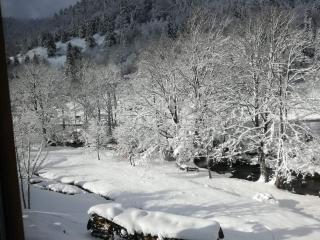 Chalet confortable, proche des pistes de ski, avec jardin, terrasses couvertes et Wi-Fi à La Bresse - FR-1-589-86 - 2