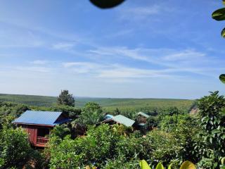 Tree Trails Homestay & Offers Jungle Trekk-Scooter For Rental - Banlung - 6