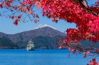 Hakone Hotel - Hakone - 3