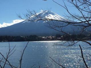 Away From Noise,View Fuji Mt In The Designer House - 3