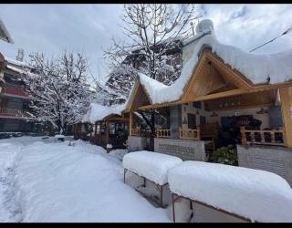 Purnima Little Italy - 0