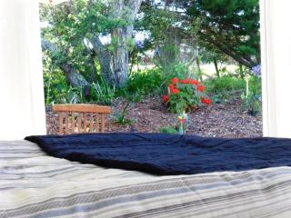 Blue Birds - Oneroa - 5
