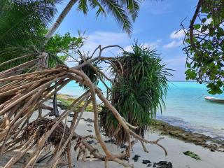 Summer Sky Thoddoo - 1