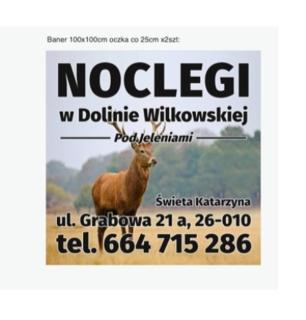 Noclegi Święta Katarzyna ,, Pod Jeleniami "prawdziwymi - Święta Katarzyna - 9